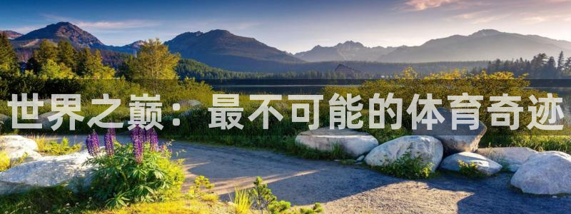 vsport体育官网下载平台:世界之巅:最不可能的体育奇迹