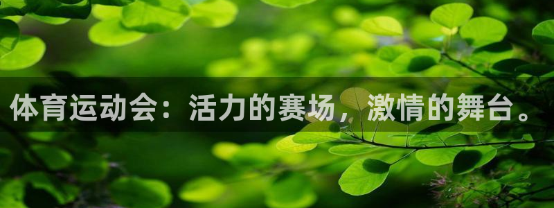 vsport体育官网下载招商电话是多少号码:体育运动会:活力